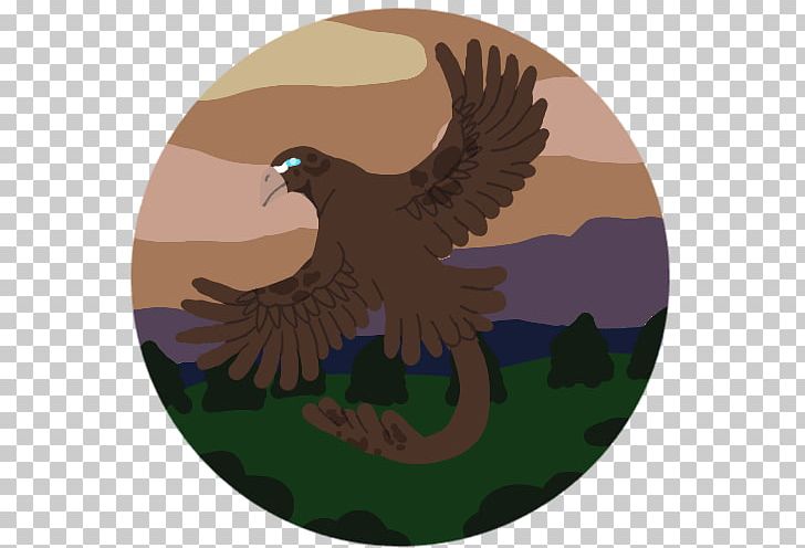 Eagle Hawk Beak Feather PNG, Clipart, Accipitriformes, Animals, Beak, Bird, Bird Of Prey Free PNG Download