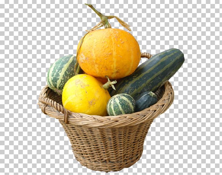 Gourd Cucurbita Maxima Pumpkin Vegetable Melon PNG, Clipart, Acorn Squash, Basket, Calabaza, Citrus, Clementine Free PNG Download