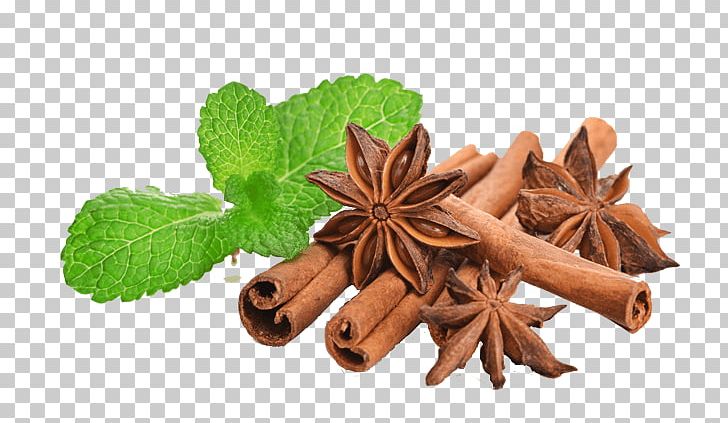 Mint Cinnamon Stock Photography Chaat Masala Food PNG, Clipart, Anise, Caraway, Cayenne, Cayenne Pepper, Chaat Masala Free PNG Download