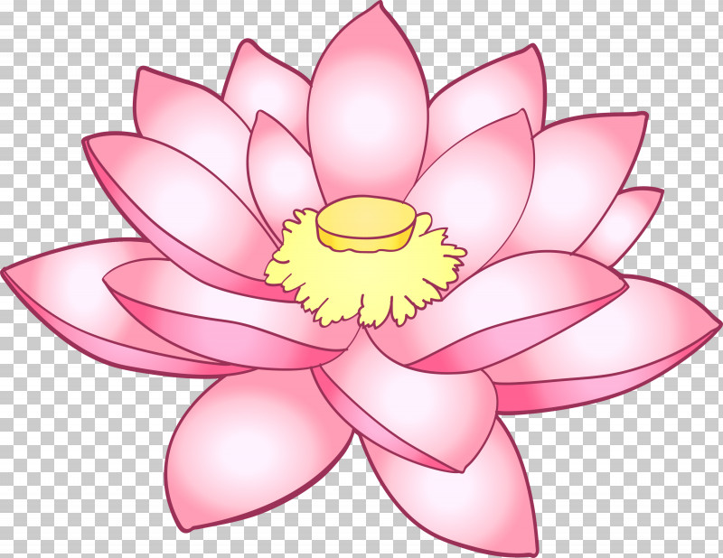 Lotus Flower PNG, Clipart, Aquatic Plant, Flower, Lotus, Lotus Family, Petal Free PNG Download