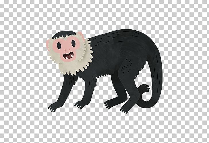 Ferret Cat Mammal Mustelids Fur PNG, Clipart, Animal Figure, Animals, Bear, Capuchin, Carnivoran Free PNG Download