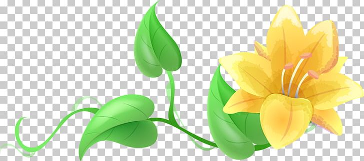Flower Petal Floral Design PNG, Clipart, Auglis, Blossom, Cicek Gorselleri, Computer Icons, Computer Wallpaper Free PNG Download
