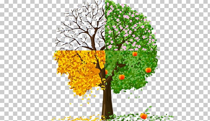 Season Autumn Spring Summer PNG, Clipart, Autumn, Branch, Computer Wallpaper, Drawing, Flora Free PNG Download
