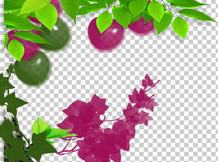 Stereoscopy 3D Computer Graphics PNG, Clipart, 3d Computer Graphics, 3d Creative Fruit, 3d Film, Branch, Flower Free PNG Download