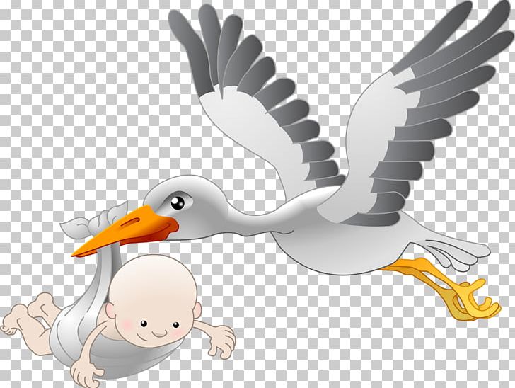 White Stork Bird Infant PNG, Clipart, Animals, Beak, Bird, Bird Of Prey, Childbirth Free PNG Download