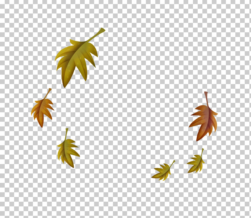 Maple Leaf PNG, Clipart, Leaf, Maple Leaf, Plane, Plant, Tree Free PNG Download