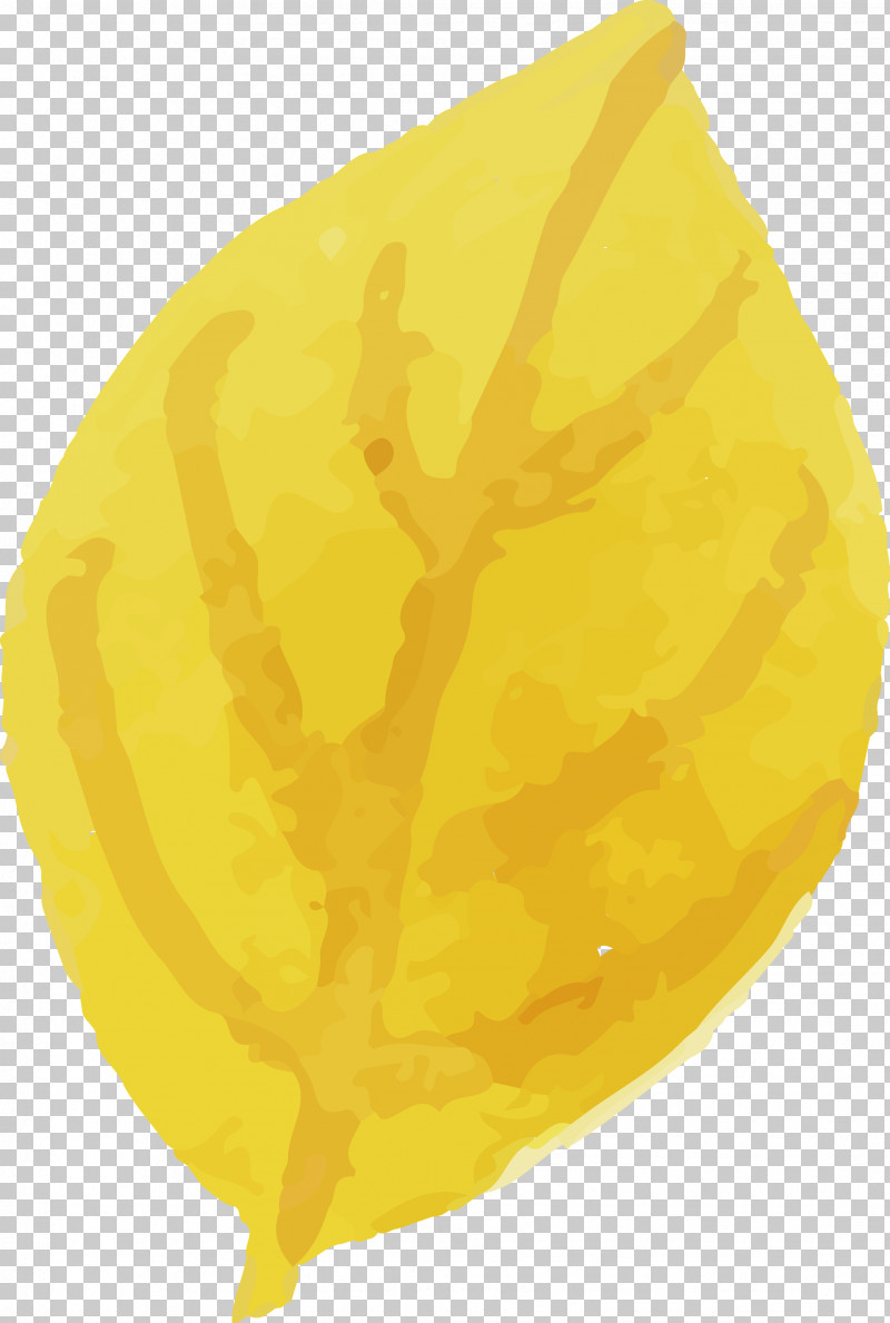 Yellow Commodity Citron PNG, Clipart, Citron, Commodity, Watercolor Autumn, Watercolor Autumn Leaf, Watercolor Leaf Free PNG Download