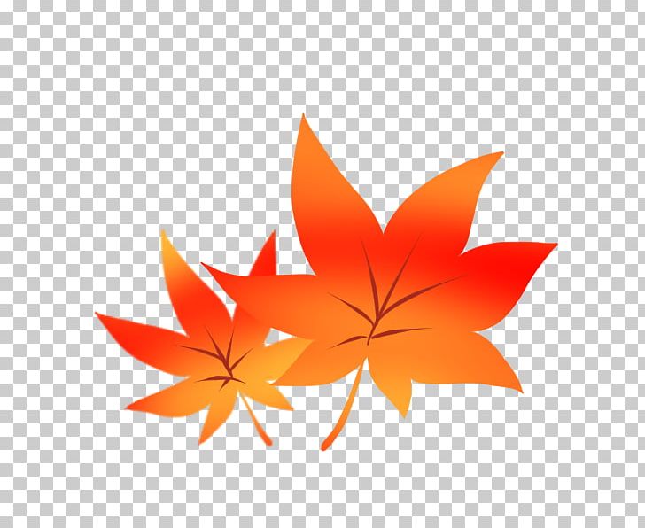 Autumn Leaf Color Wii U Tourism Maidenhair Tree PNG, Clipart, Autumn, Autumn Leaf Color, Flower, Flowering Plant, Japan Free PNG Download