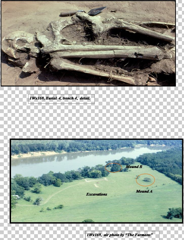 Curren Caleb Prehistory Furman Archaeology Mound PNG, Clipart, Alabama, American Journal Of Archaeology, Archaeology, Curren Caleb, Ecoregion Free PNG Download