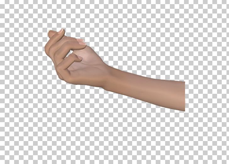 Thumb Hand Model Human Anatomy Wrist PNG, Clipart, Anatomy, Arm, Blog, Finger, Gimp Free PNG Download