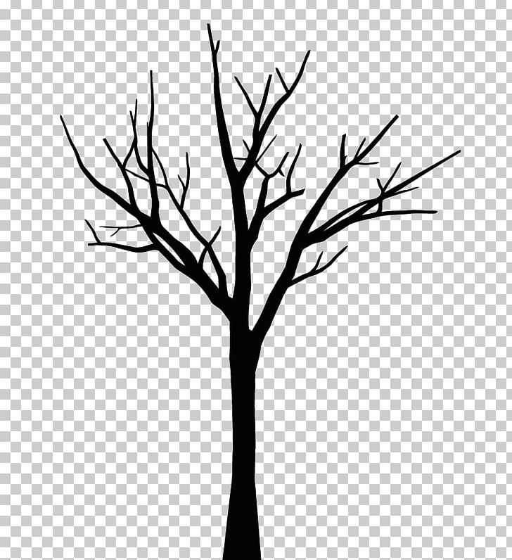 Drawing Tree Leaf Oak Sketch PNG, Clipart, Art, Black And White, Branch, Coloring Book, Drawing Free PNG Download