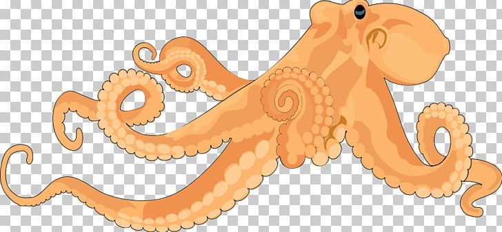Octopus Free Content PNG, Clipart, Blog, Blueringed Octopus, Cartoon, Cephalopod, Download Free PNG Download