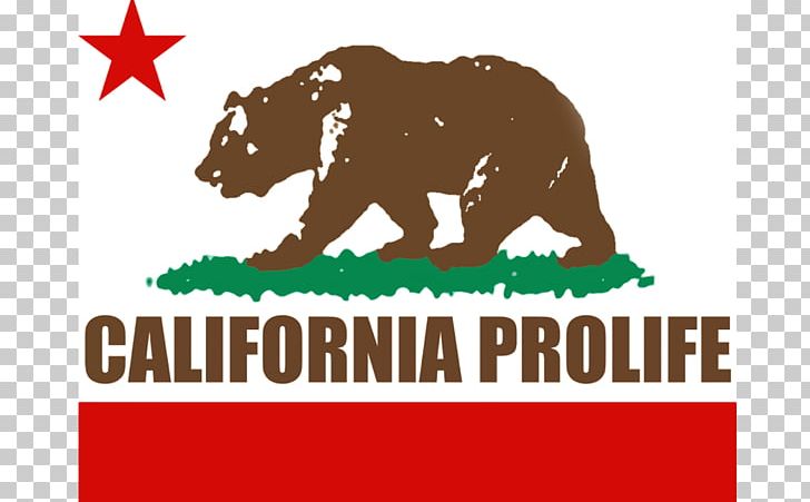 California United States Anti-abortion Movement National Right To Life Committee Organization PNG, Clipart, Area, Brand, California, Election, Flag Of California Free PNG Download