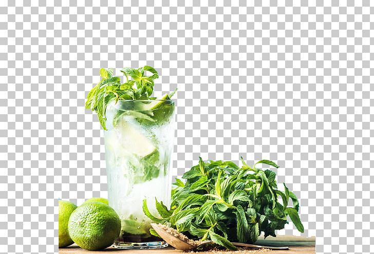 Mojito Cocktail Rum Mint Julep PNG, Clipart, Beverage, Brown Sugar, Carbonated Water, Cocktail Glass, Cold Free PNG Download