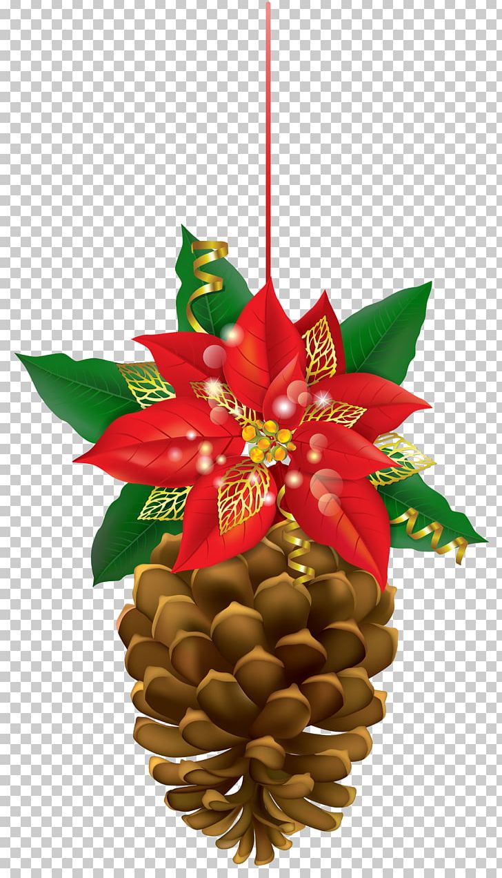 Poinsettia Conifer Cone Christmas PNG, Clipart, Christmas, Christmas Decoration, Christmas Ornament, Conifer, Conifer Cone Free PNG Download