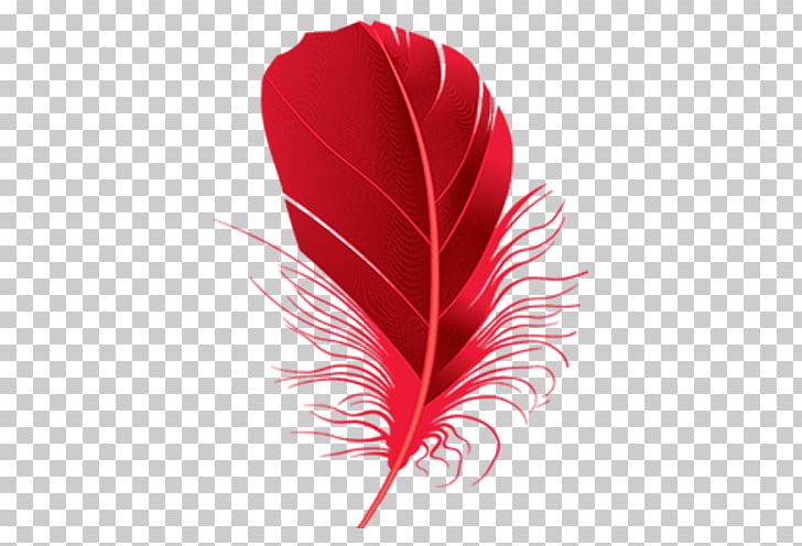 Feather Red PNG, Clipart, Animals, Bird, Clip Art, Common Ostrich, Digital Image Free PNG Download