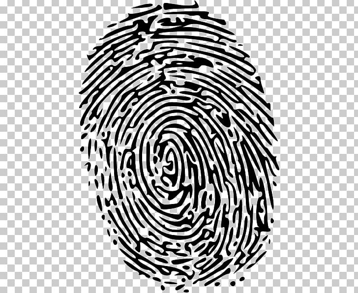 Fingerprint PNG, Clipart, Area, Black, Black And White, Circle, Computer Icons Free PNG Download