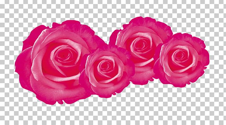 Garden Roses Flower PNG, Clipart, Adobe Illustrator, Creative, Creative Wedding, Cut Flowers, Designer Free PNG Download