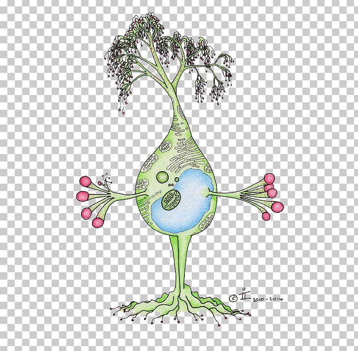 Neuron Sticker Drawing Nervous System Brain PNG, Clipart, Art, Brain, Branch, Cartoon, Cell Free PNG Download