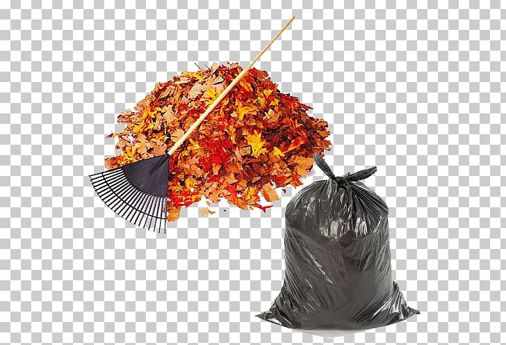 Plastic Bag Bin Bag Shopping Bags & Trolleys PNG, Clipart, Accessories, Bag, Bin Bag, Cleaning, Flexography Free PNG Download