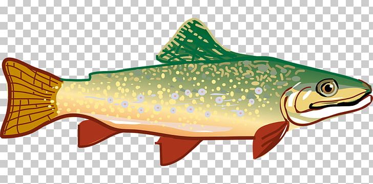 Rainbow Trout PNG, Clipart, Animals, Aquarium Fish, Blog, Bony Fish, Brook Trout Free PNG Download