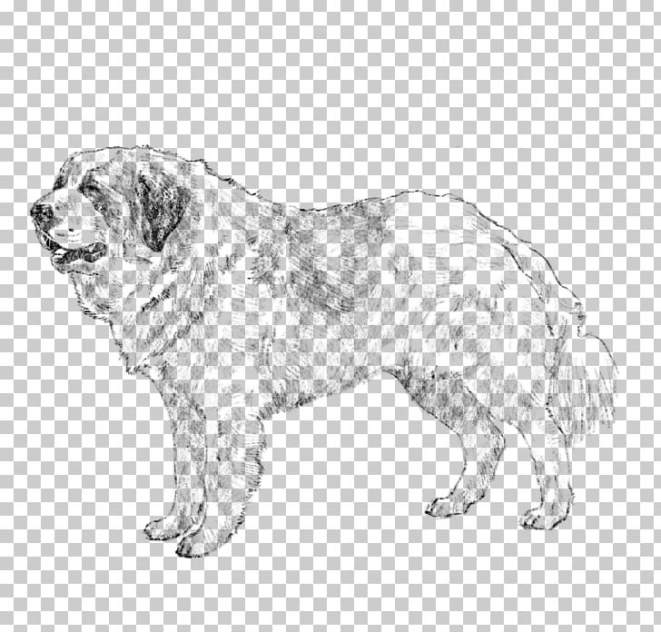 Ancient Dog Breeds Polish Tatra Sheepdog Sporting Group Retriever PNG, Clipart, Black, Breed, Carnivoran, Crossbreed, Dog Free PNG Download