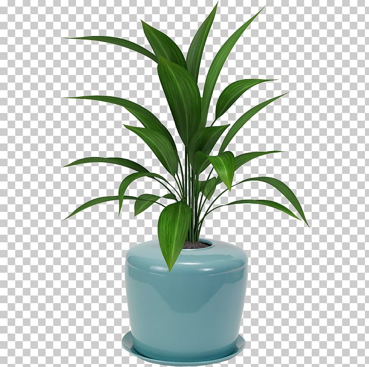 Houseplant Flowerpot Viper's Bowstring Hemp Plants Palm Trees PNG, Clipart,  Free PNG Download