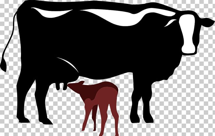 Dairy Cattle Calf Graphics PNG, Clipart, Black And White, Bull, Calf, Cartoon Cow, Cattle Free PNG Download