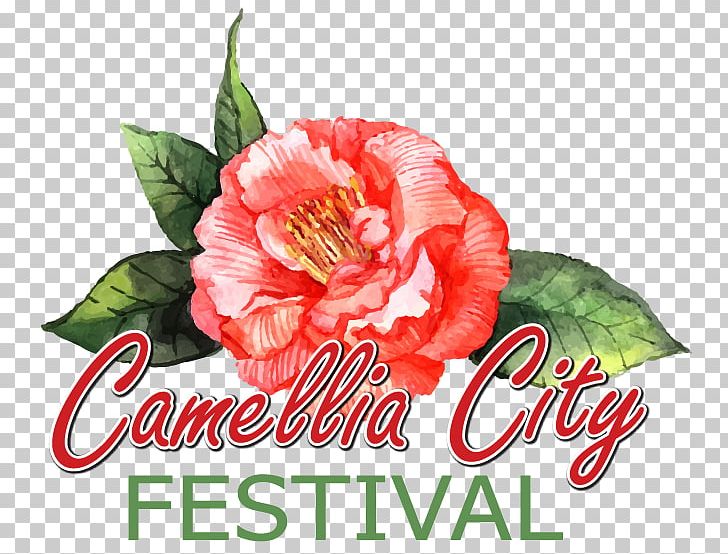 Camellia Stock Photography Watercolor Painting PNG, Clipart, 3 Rd, Camellia, City, Cut Flowers, Drawing Free PNG Download