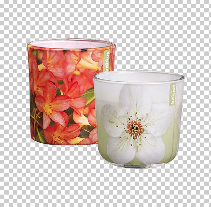 Candle Bolsius Group Hellweg Price PNG, Clipart, Beslistnl, Bolsius Group, Candle, Eika Kerzen, Flower Free PNG Download