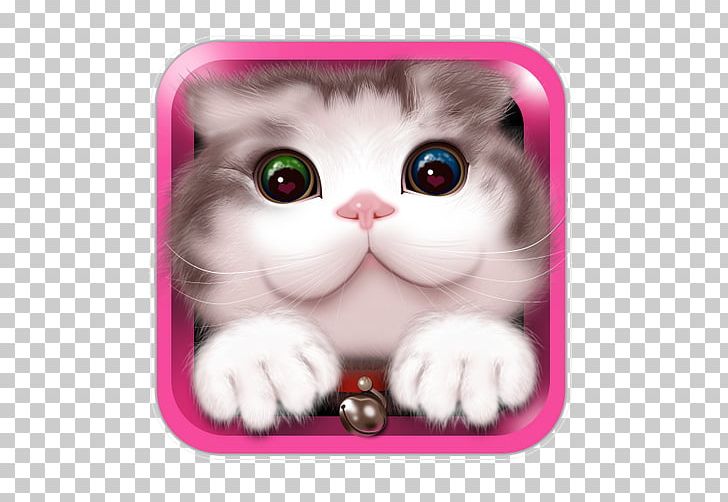 Cat Kitten Whiskers PNG, Clipart, Animal, Cabinet, Carnivoran, Cat, Cat Like Mammal Free PNG Download