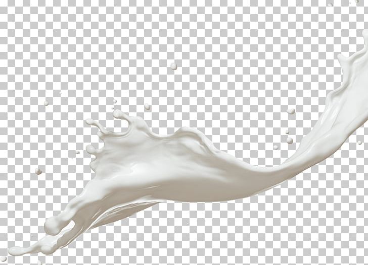 Coconut Milk Dairy Products Splash PNG, Clipart, Black And White, Bottle, Branch, Coconut Milk, Dairy Free PNG Download