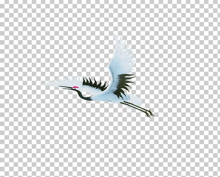 Crane Bird Computer File PNG, Clipart, Animal, Beak, Blue Crane, Computer Wallpaper, Crane Bird Free PNG Download