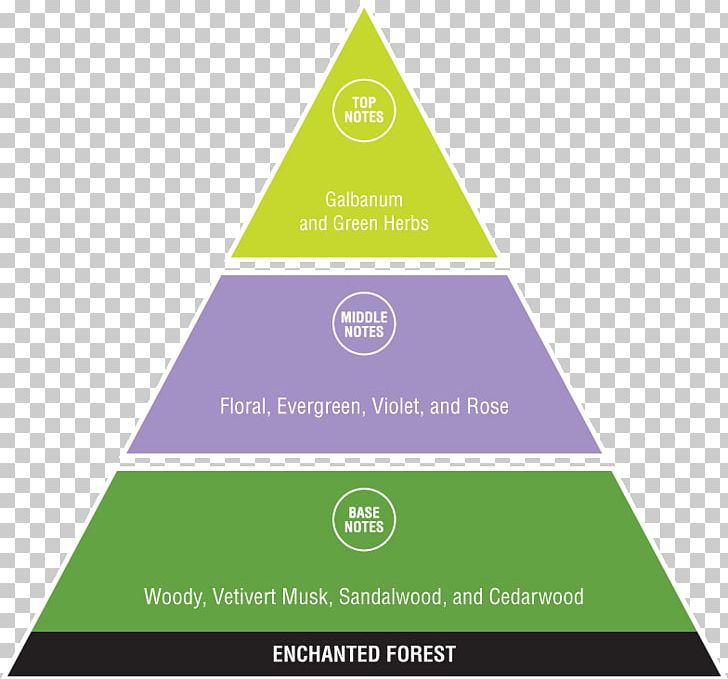 Diagram Chart Infographic Management PNG, Clipart, Brand, Business, Chart, Diagram, Enchanted Forest Free PNG Download