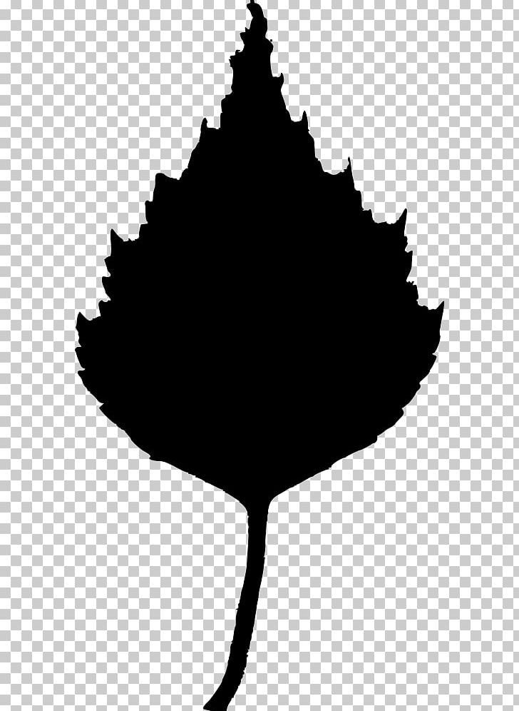 Leaf Tree PNG, Clipart, Autumn Leaf Color, Birch, Black And White, Branch, Drawing Free PNG Download