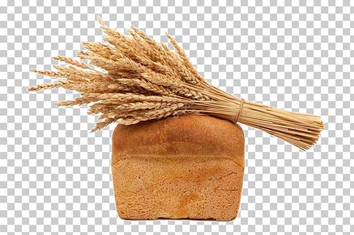 Whole Grain Photography Bread Wheat PNG, Clipart, Bread, Bread , Cereal, Cereal Germ, Commodity Free PNG Download