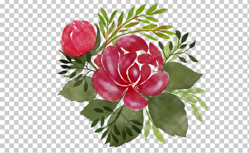 Floral Design PNG, Clipart, Chemistry, Cut Flowers, Floral Design, Flower, Paint Free PNG Download