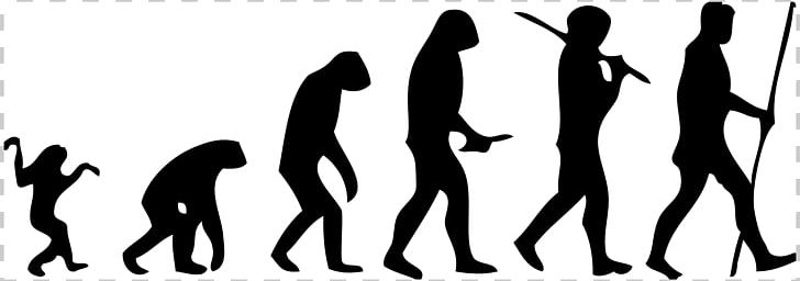 March Of Progress Homo Sapiens Ape Human Evolution PNG, Clipart, Arm, Black And White, Cromagnon, Education Science, Evolution Free PNG Download