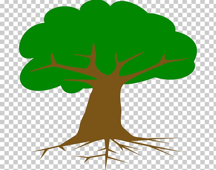 Root Graphics Tree Portable Network Graphics PNG, Clipart, Artwork, Branch, Computer Icons, Digital Image, Flower Free PNG Download