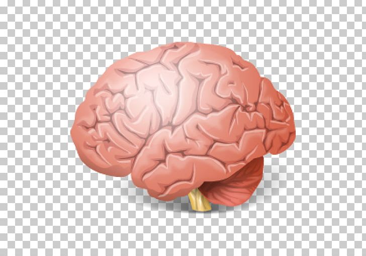 Computer Icons Brain PNG, Clipart, Apk, Brain, Brain Wars Left Vs Right, Computer Icons, Desktop Wallpaper Free PNG Download