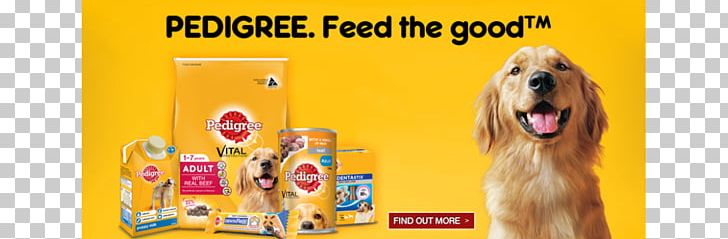 Dog Lucknow Pet Shop Fodder PNG, Clipart, Artikel, Brand, Dog, Dog Like Mammal, Fodder Free PNG Download