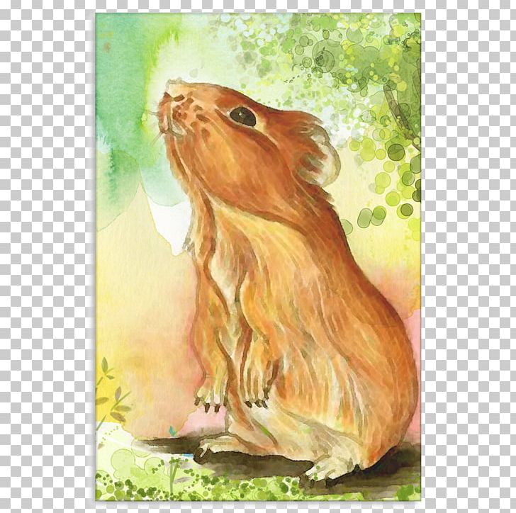 Guinea Pig Watercolor Painting Hare PNG, Clipart, Art, Deliberative Assembly, Fauna, Guinea, Guinea Pig Free PNG Download