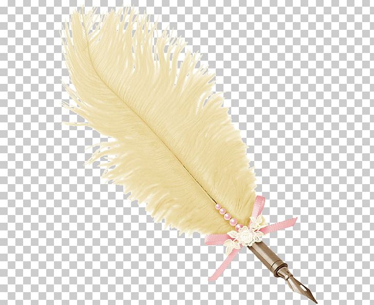 Quill Feather Reed Pen Writing Implement PNG, Clipart, Allah, Animals, Feather, Glass, Idea Free PNG Download