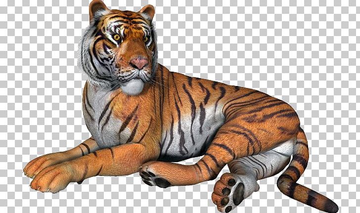 Animated Film PNG, Clipart, Animated Film, Big Cats, Blog, Carnivoran, Cat Like Mammal Free PNG Download