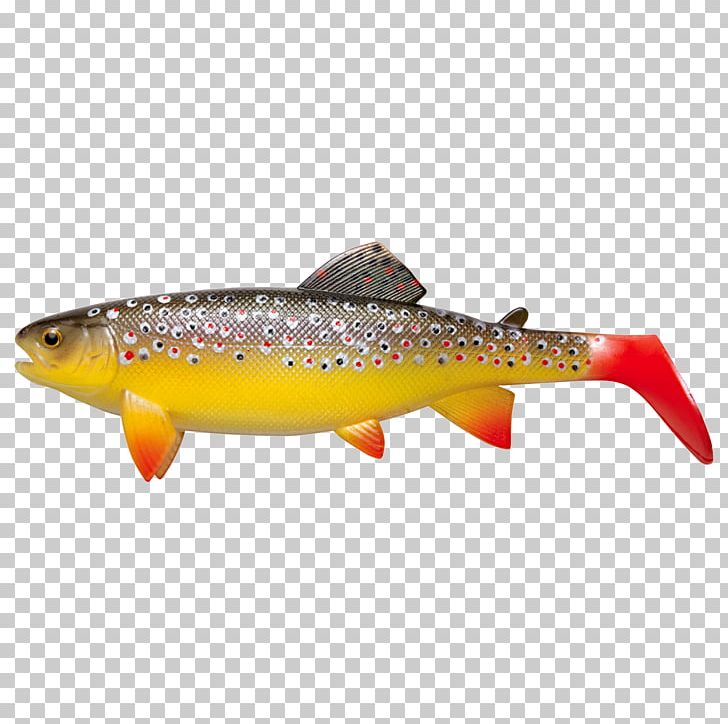 Brown Trout Fishing Baits & Lures Rainbow Trout PNG, Clipart, Bony Fish, Brown Trout, Cutthroat Trout, Fish, Fishing Free PNG Download