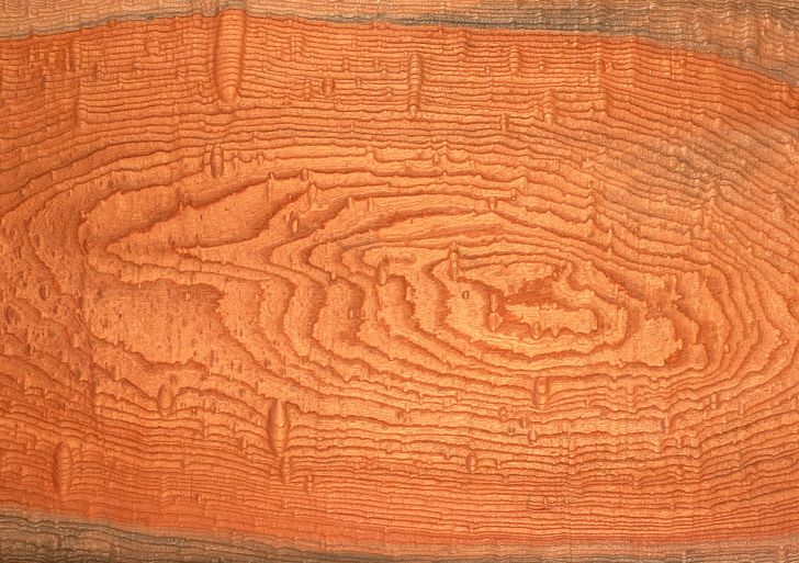 Combretum Wood Paper Tree Texture Mapping PNG, Clipart, Carving, Combretaceae, Combretum, Floor, Flooring Free PNG Download