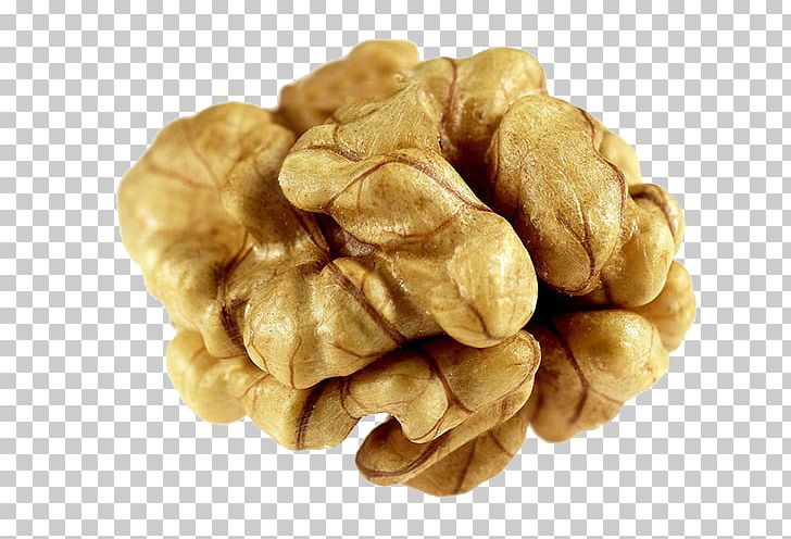 English Walnut Pterocarya Fraxinifolia Dried Fruit PNG, Clipart, Alamy, Dried, Dried Fruit, Dry, English Walnut Free PNG Download