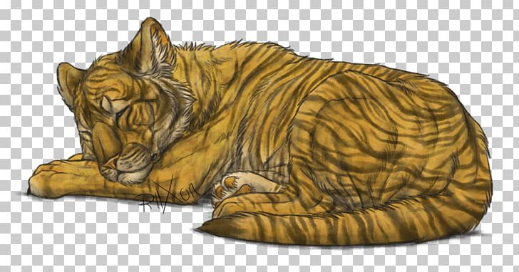 Tiger Lion Whiskers Cat PNG, Clipart, Art, Baby Tiger, Big Cats, Carnivoran, Cat Free PNG Download