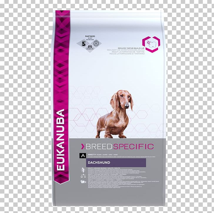 Boxer Cat Food West Highland White Terrier Eukanuba PNG, Clipart, Animals, Boxer, Carnivoran, Cat, Cat Food Free PNG Download