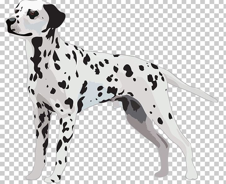 Dalmatian Dog Greeting & Note Cards Puppy Tote Bag PNG, Clipart, Animal Figure, Bag, Birthday, Cafepress, Carnivoran Free PNG Download